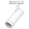 Светильник на штанге Lightstar Canno Pro C4126SS 100_100_3077721